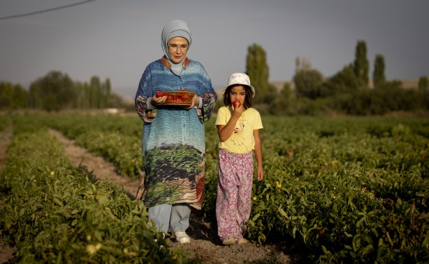 Foto - Emine Erdoğan, tarladan domates topladı, kışlık menemen yaptı