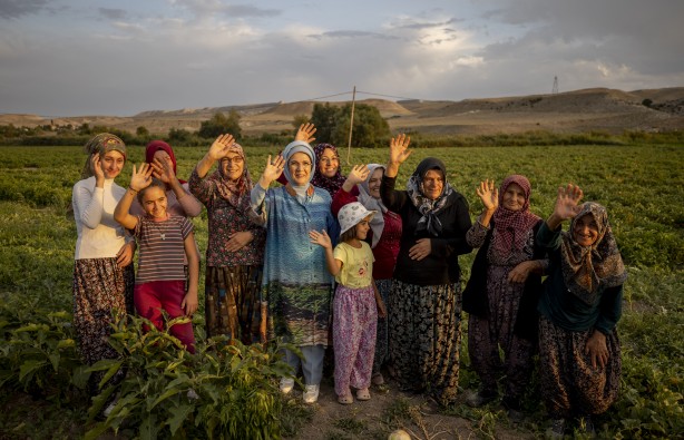 Foto - Emine Erdoğan, tarladan domates topladı, kışlık menemen yaptı