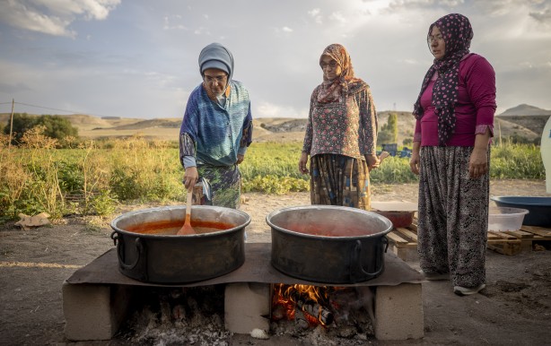 Foto - Emine Erdoğan, tarladan domates topladı, kışlık menemen yaptı