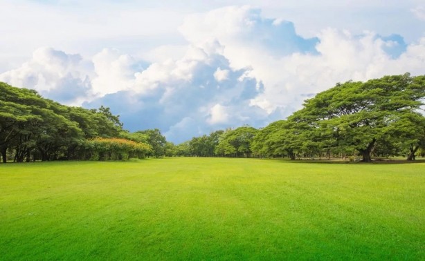 Foto - Emlak uzmanından gündem olacak çıkış: Bill Gates o ilimizden 517 bin dönüm tarım arazisi aldı