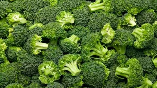 Foto - Emsalsiz ilaç brokoli! Kanser, yaşlanma, şeker ve kalp hastalıklarına karşı koruyor