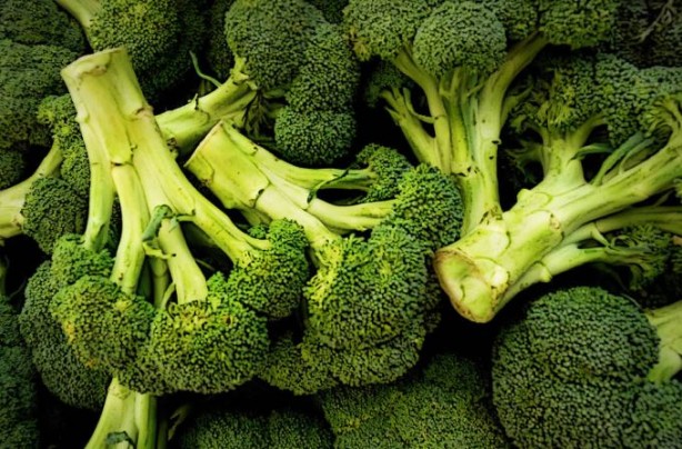 Emsalsiz ilaç brokoli! Kanser, yaşlanma, şeker ve kalp hastalıklarına karşı koruyor