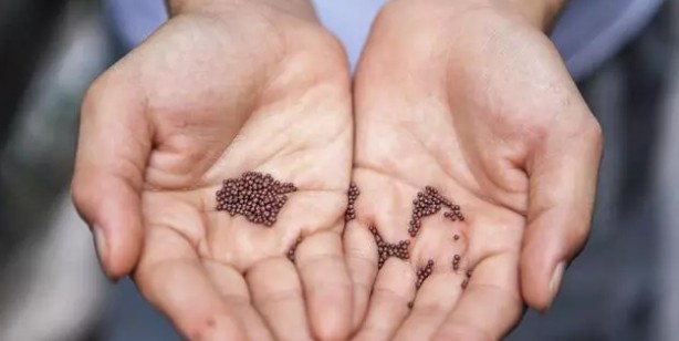 Foto - En az iki beden incelmenin en kolay yolu buymuş: İlaçlara bile meydan okuyacak! Çatır çatır zayıflatan sırrı