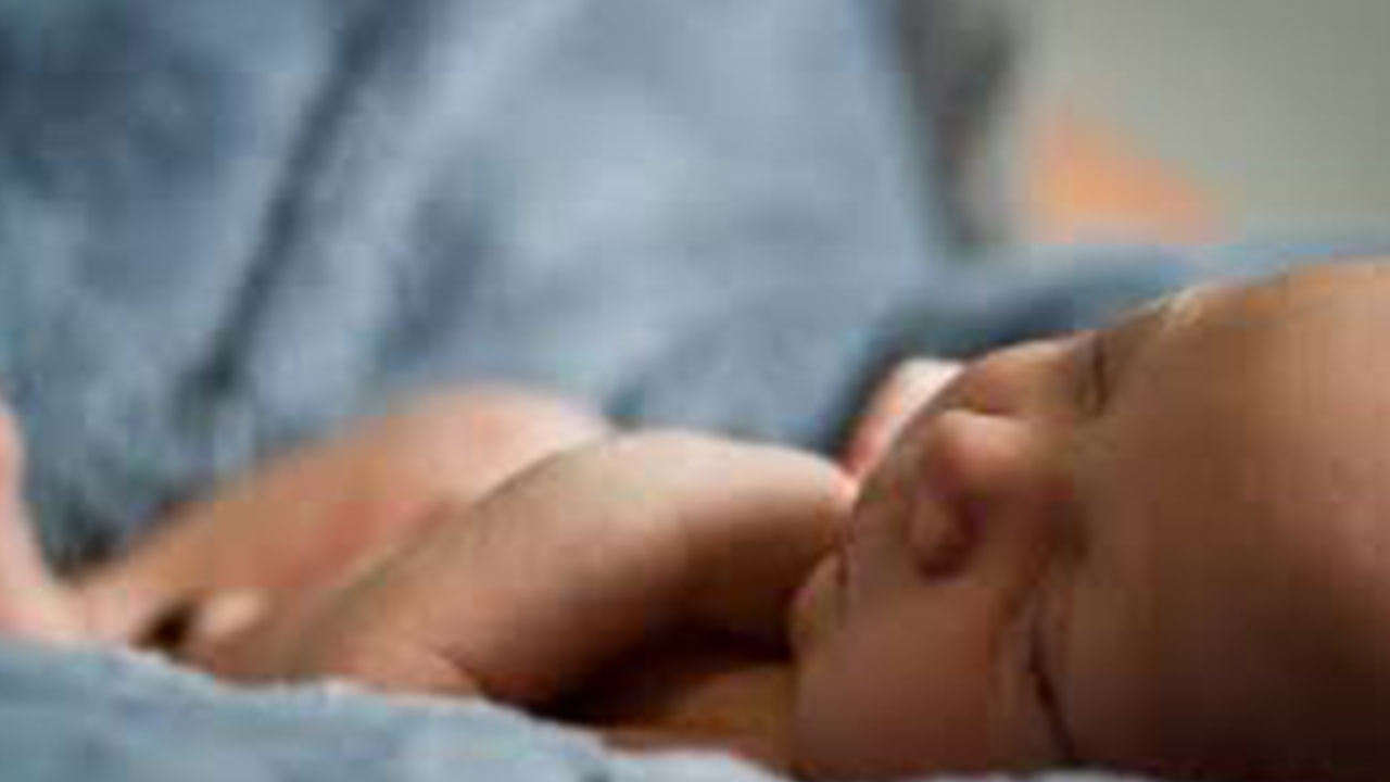 Foto - En çok çocuk yapan ilimiz belli oldu