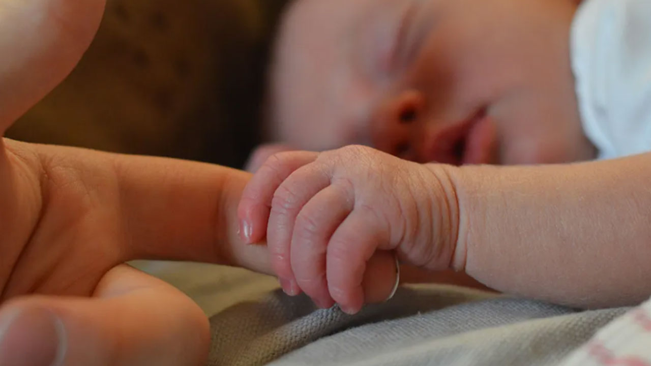 Foto - En çok çocuk yapan ilimiz belli oldu