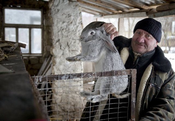 Foto - En çok eti o ülke tüketiyor!
