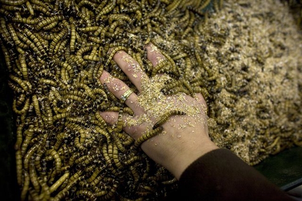 Foto - En çok eti o ülke tüketiyor!