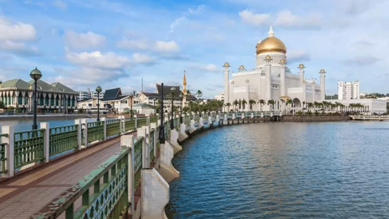Foto - En çok kitap okuyan ülkeler belli oldu! Türkiye'nin sırası şaşırttı!