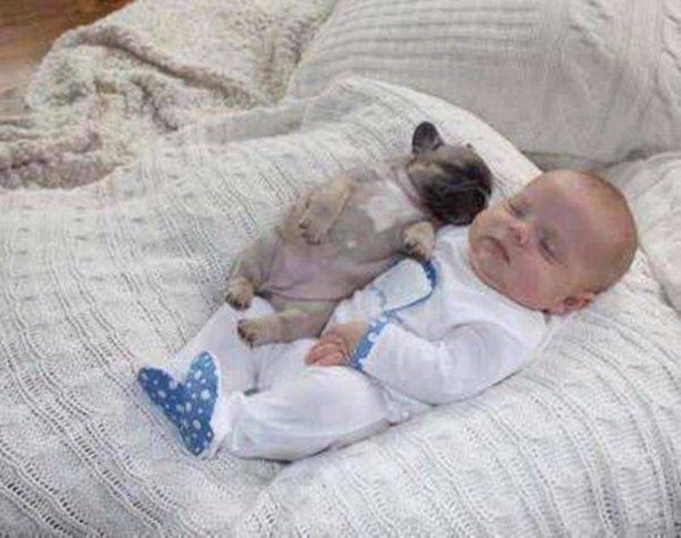 Foto - En çok paylaşılan ilginç kareler