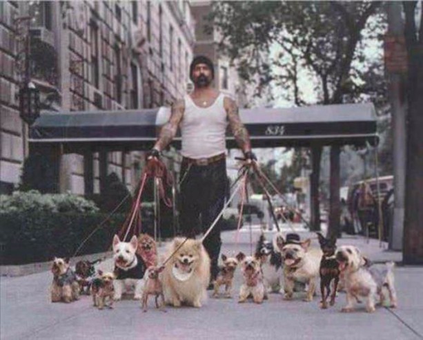 Foto - En çok paylaşılan ilginç kareler