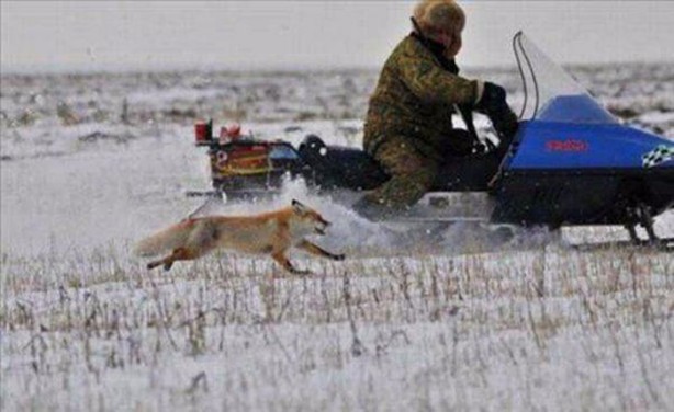 Foto - En çok paylaşılan ilginç kareler