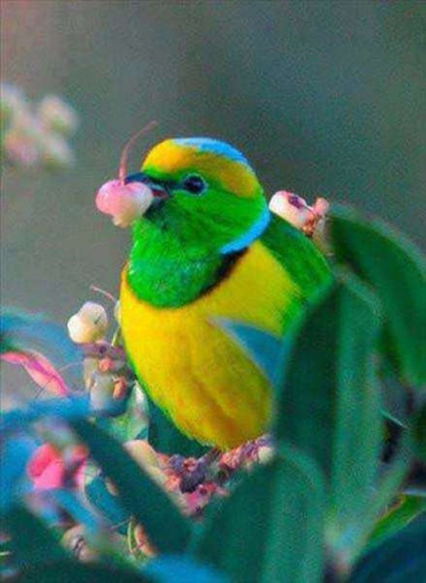 Foto - En çok paylaşılan ilginç kareler