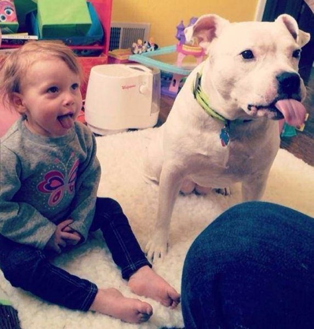 Foto - En çok paylaşılan ilginç kareler