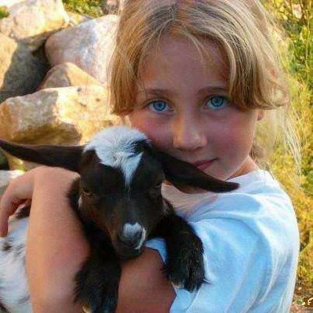 Foto - En çok paylaşılan ilginç kareler