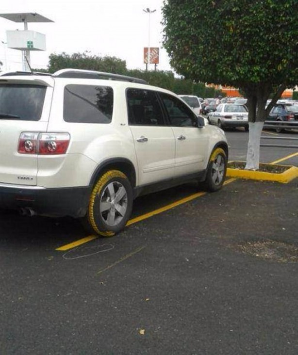 Foto - En çok paylaşılan ilginç kareler