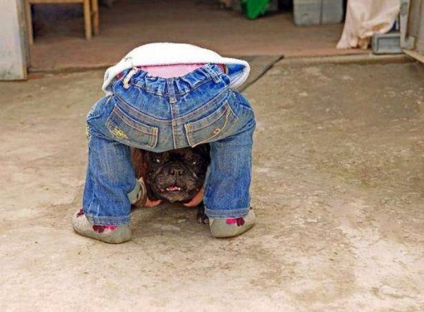 Foto - En çok paylaşılan ilginç kareler