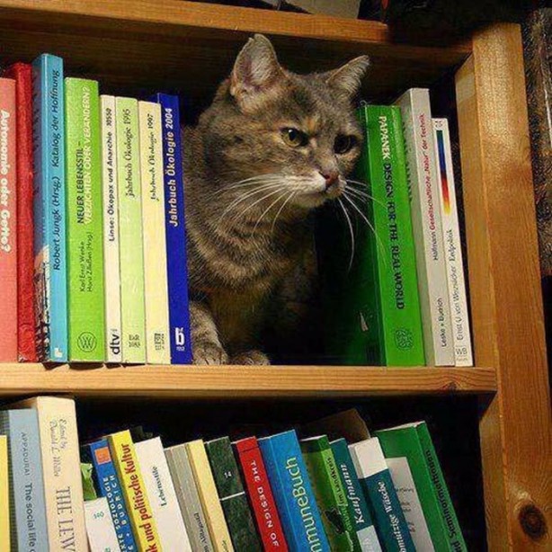 Foto - En çok paylaşılan ilginç kareler