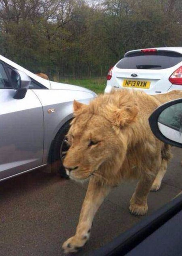 Foto - En çok paylaşılan ilginç kareler