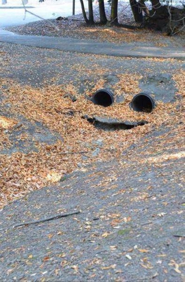 Foto - En çok paylaşılan ilginç kareler