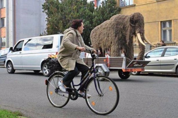 Foto - En çok paylaşılan ilginç kareler