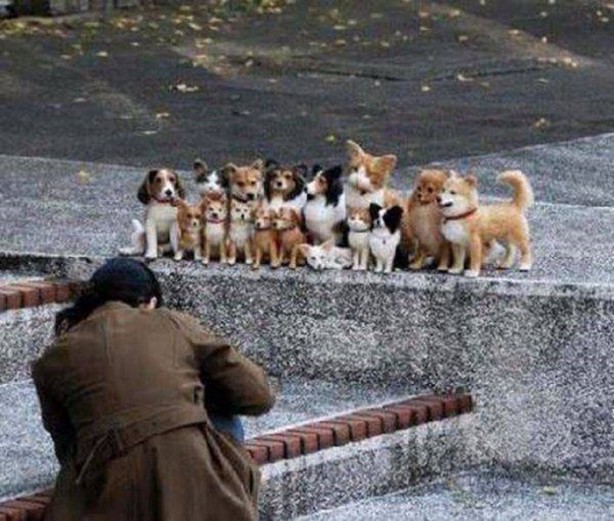 Foto - En çok paylaşılan ilginç kareler