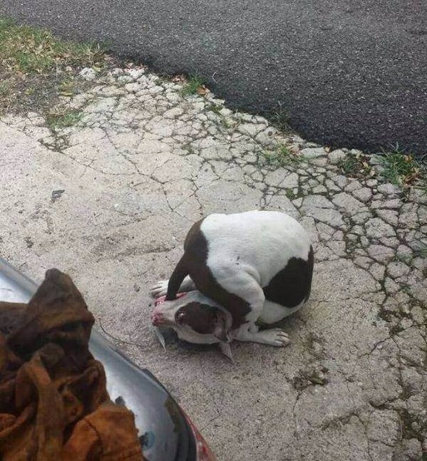 Foto - En çok paylaşılan ilginç kareler