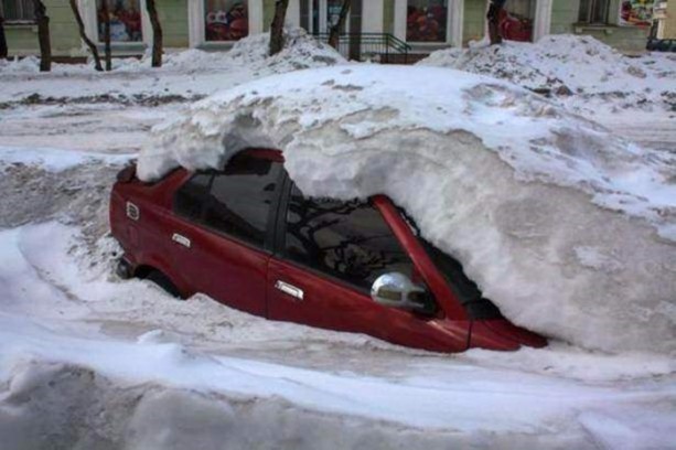 Foto - En çok paylaşılan ilginç kareler