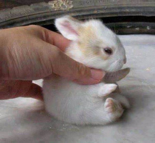 Foto - En çok paylaşılan ilginç kareler