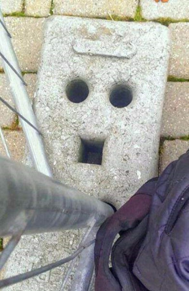 Foto - En çok paylaşılan ilginç kareler