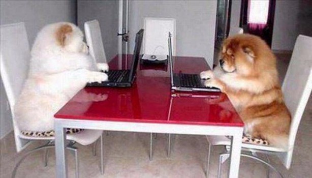 Foto - En çok paylaşılan ilginç kareler