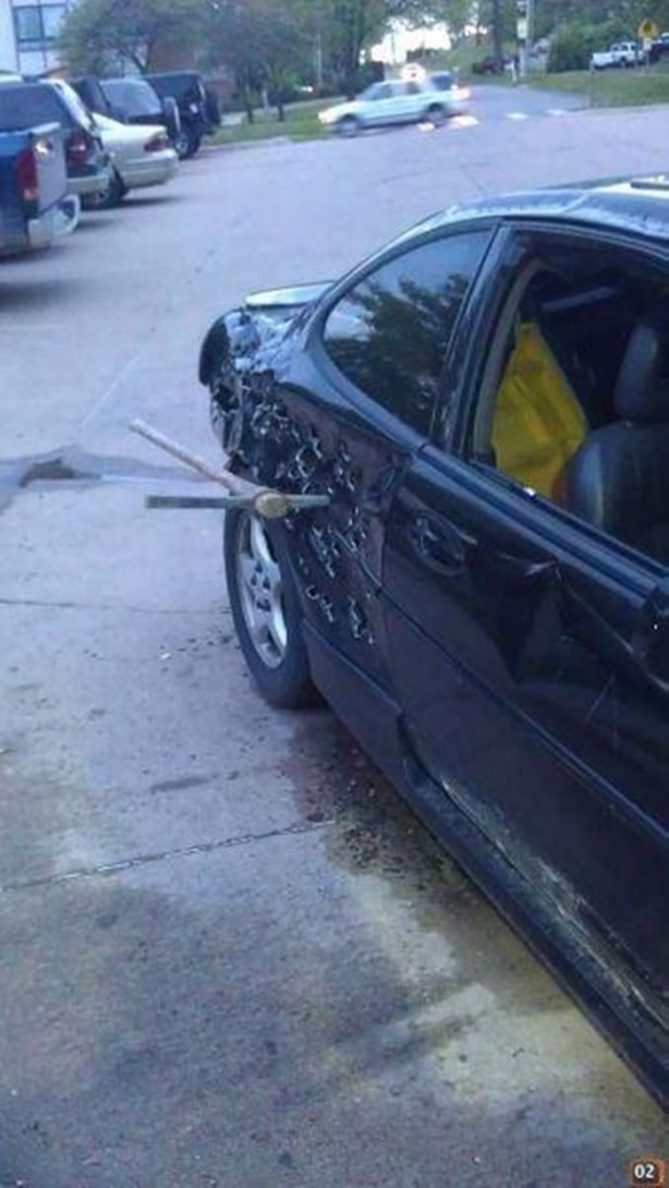 Foto - En çok paylaşılan ilginç kareler