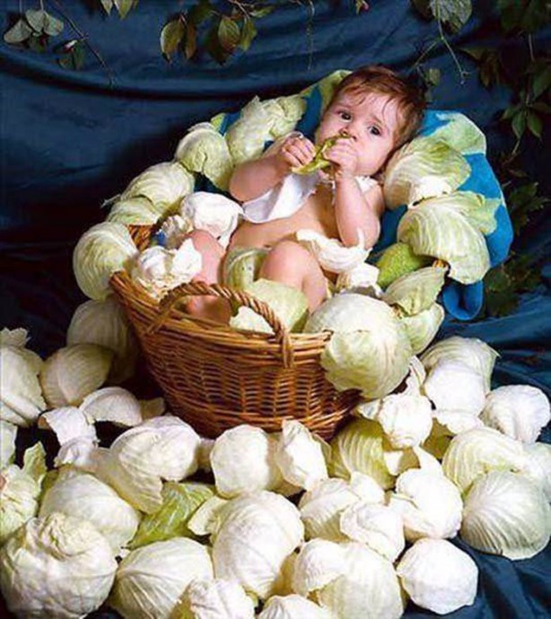 Foto - En çok paylaşılan ilginç kareler