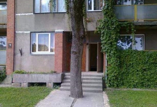 Foto - En çok paylaşılan ilginç kareler