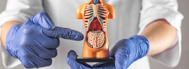 Foto - En erken evre kanser belirtileri açıklandı! Zamanlama hayat kurtarıyor