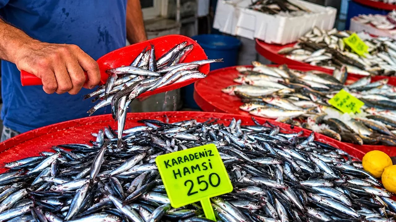 En faydalı protein, vitamin ve mineraller açısından önemli olduğu belli oldu: Yapay zeka hamsiyi işaret etti