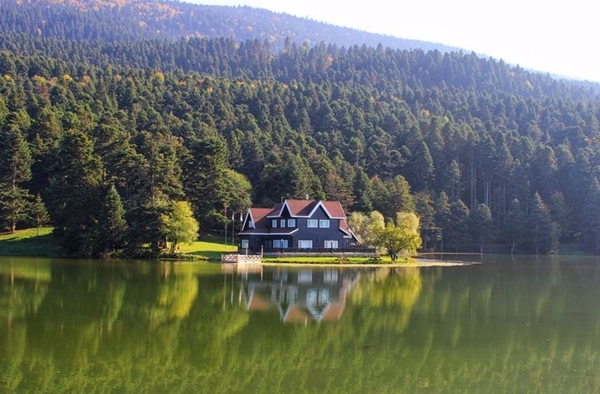 Foto - En fazla ormanlık alana sahip şehirler belli oldu