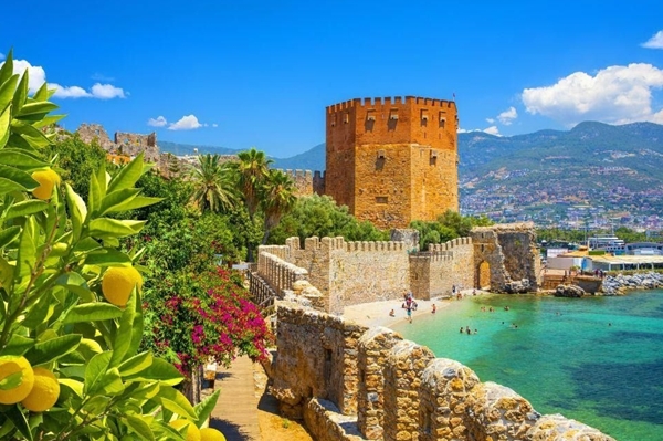 Foto - En fazla ormanlık alana sahip şehirler belli oldu