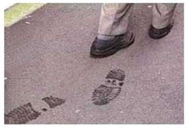 Foto - En gereksiz Japon icatları