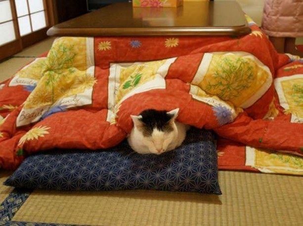 Foto - En gereksiz Japon icatları