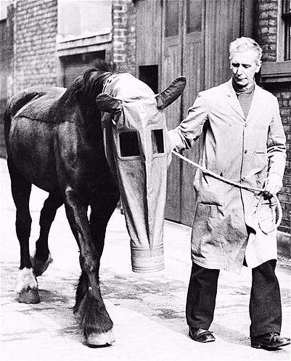 Foto - En gereksiz Japon icatları