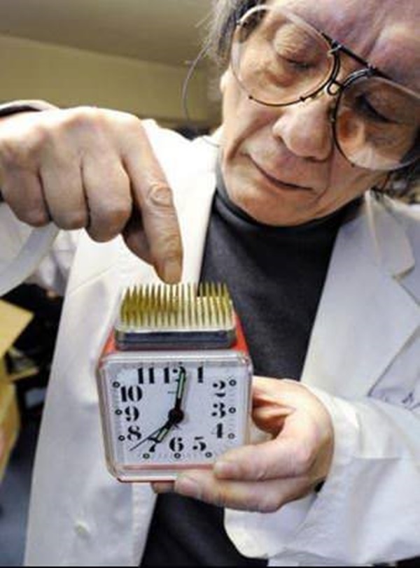 Foto - En gereksiz Japon icatları