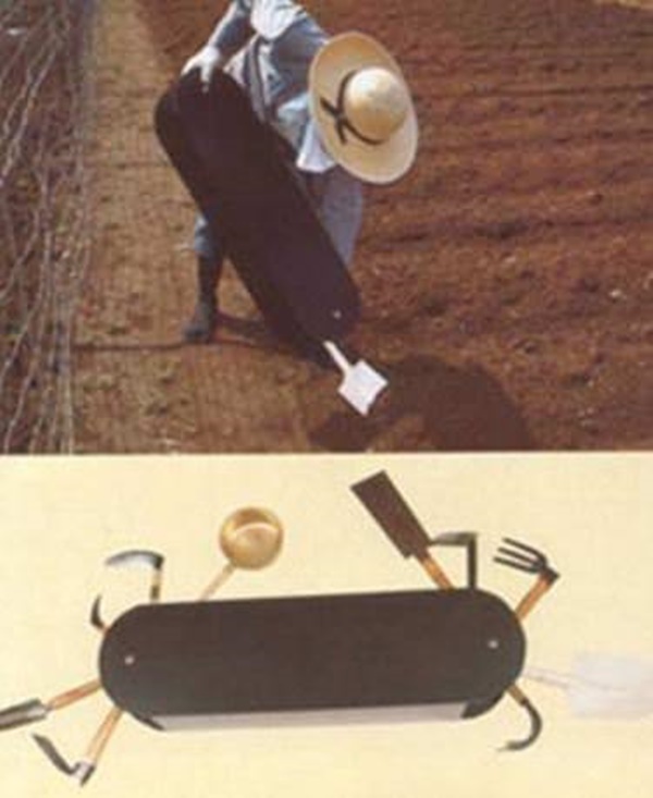 Foto - En gereksiz Japon icatları