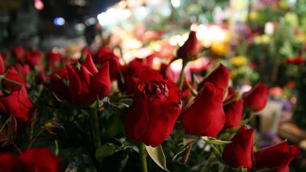 En güzel anneler günü hediyeleri