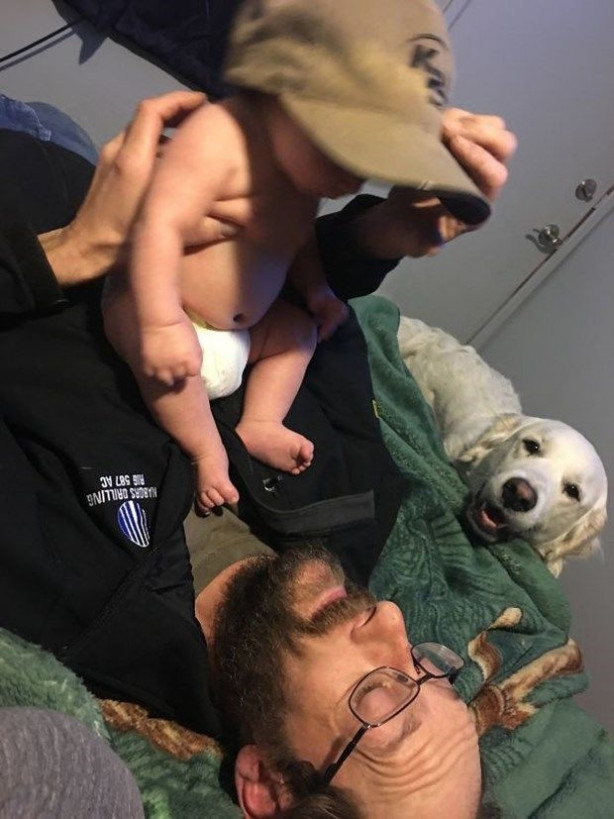 Foto - En güzel fotoğrafları ustalıkla bozan muzip köpekler