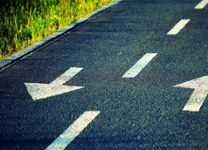 Foto - En ilginç 25 bilgi! Kafaları kopsa bile birkaç hafta yaşarlar