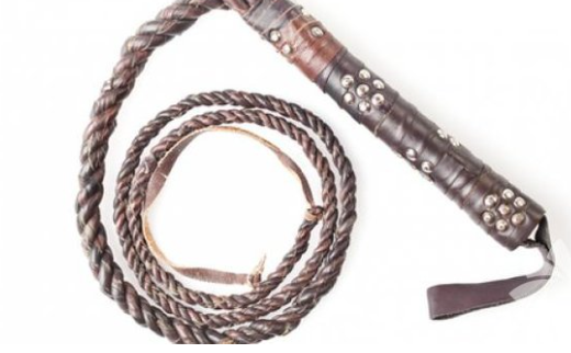 Foto - En ilginç 25 bilgi! Kafaları kopsa bile birkaç hafta yaşarlar