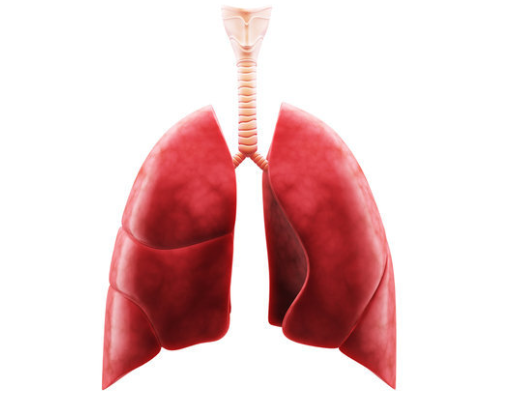 Foto - En ilginç 25 bilgi! Kafaları kopsa bile birkaç hafta yaşarlar