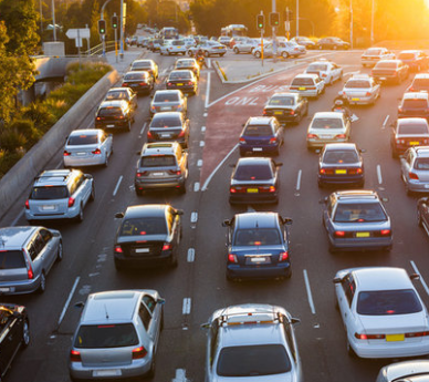 Foto - En ilginç 25 bilgi! Kafaları kopsa bile birkaç hafta yaşarlar