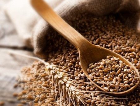 Foto - En ilginç 25 bilgi! Kafaları kopsa bile birkaç hafta yaşarlar