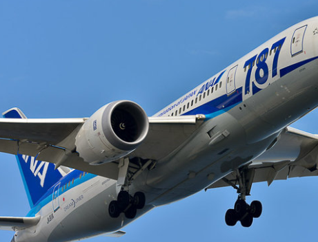 Foto - En ilginç 25 bilgi! Kafaları kopsa bile birkaç hafta yaşarlar